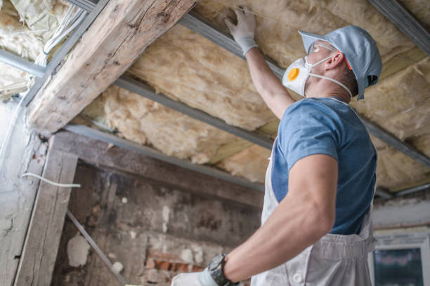 Best Types of Insulation in Pelham, GA