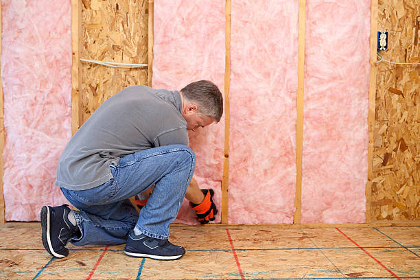 Best Insulation Installation Services in Pelham, GA